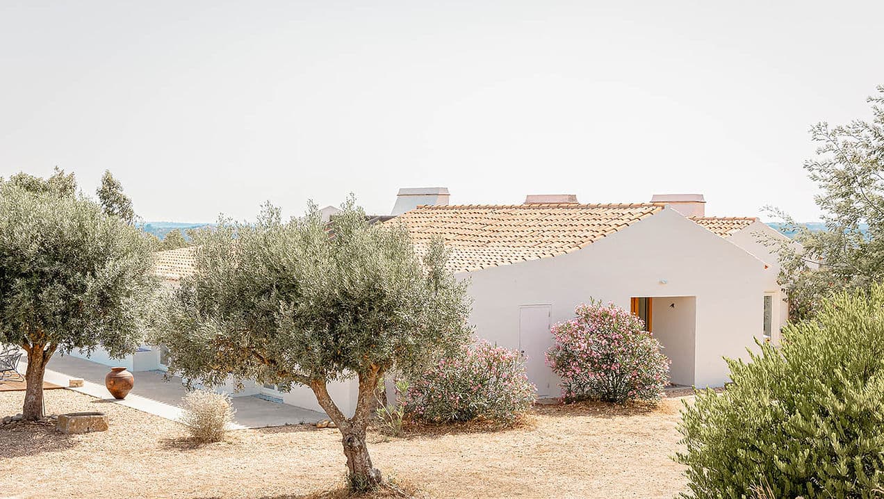 Single-story Casa Acima exterior in Santiago do Cacém, Portugal, with Mediterranean garden and olive trees