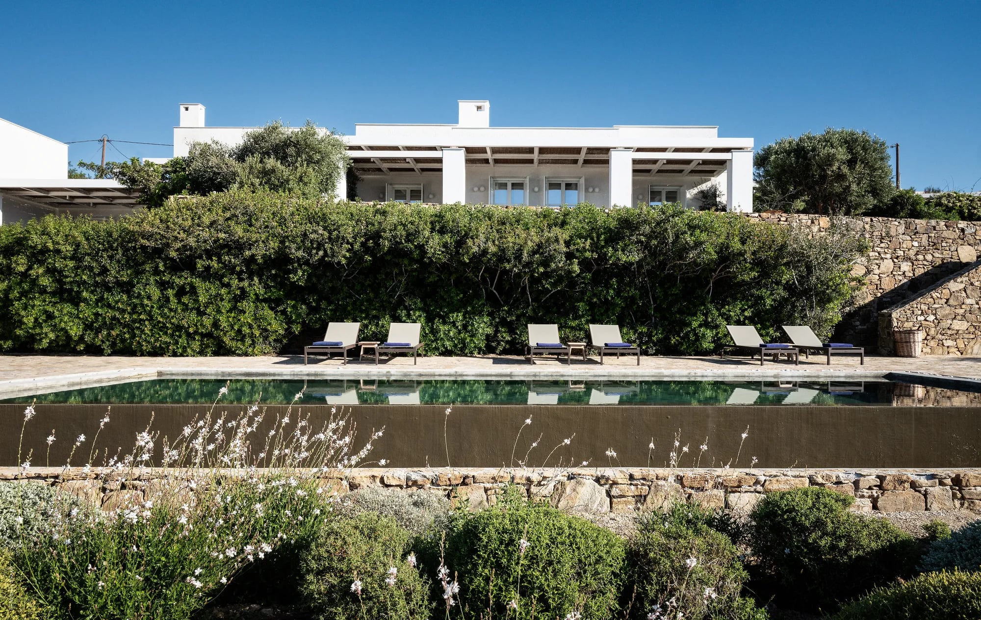 Outdoor pool area with lounge chairs and greenery at Rafter Koufonisia Thalia in Koufonisia, Greece