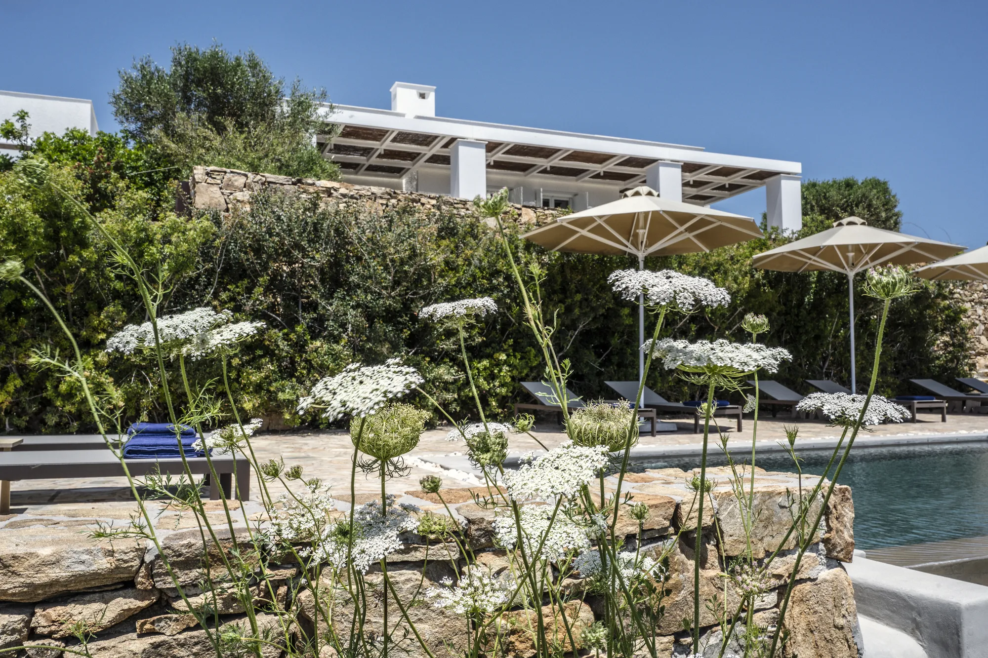 Outdoor pool area with sun loungers and umbrellas at Rafter Koufonisia Thalia in Koufonisia, Greece