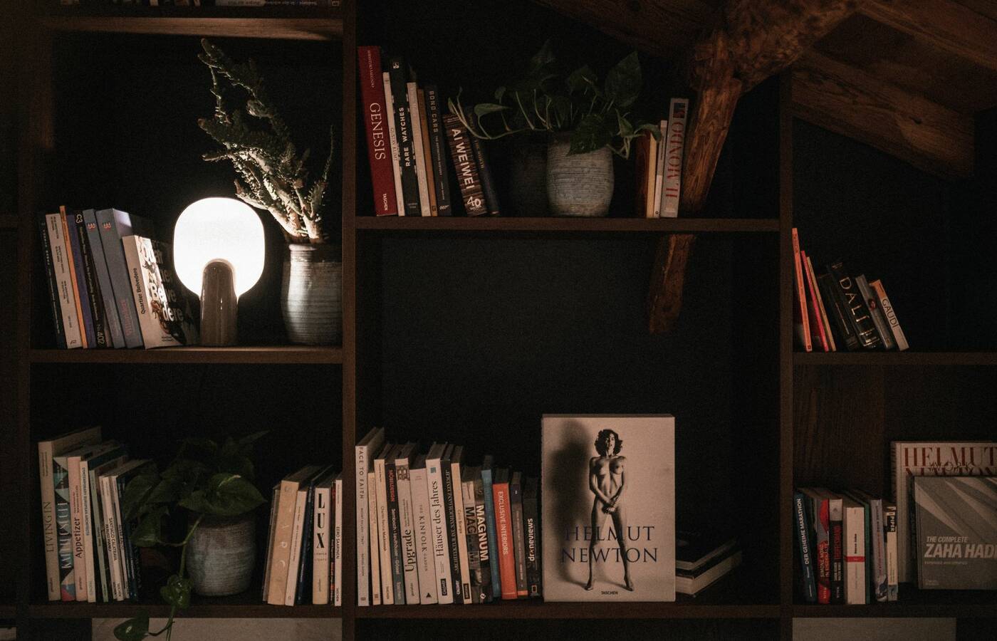 Dark wooden bookshelf with books, plants, and a lit lamp in Rafter Villanders cabin Villanders Italy